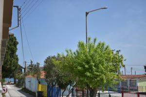 a street with trees and a fence at By The Sea in Asprovalta