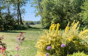 En hage utenfor Lovely Home In Hundested With Wifi