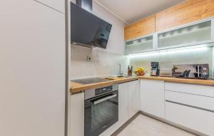 Η κουζίνα ή μικρή κουζίνα στο Stunning Apartment In Mrljane With Wifi