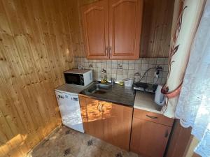 什切爾克的住宿－POKOJE GOŚCINNE U ANIELI，一间带水槽和微波炉的小厨房