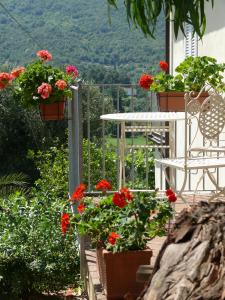balcón con flores rojas, mesa y sillas en Hotel Santo Stefano en Portoferraio