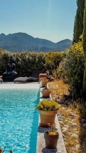 a row of potted plants next to a swimming pool at La cabane d'Alcée in Vacqueyras +14 photos