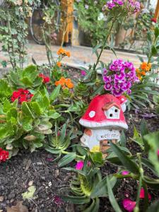 a garden with a mushroom house and flowers at Guest Room Angolo Toscano in Vlorë