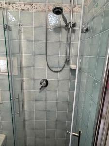 a shower with a shower head in a bathroom at La Casetta 115 fronte lago in Castelletto sopra Ticino +24 photos
