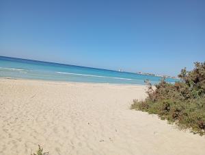 a sandy beach with the ocean in the background at Agriturismo Il Pavone in Torre Lapillo