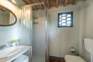 a bathroom with a shower and a sink and a toilet at Casa vacanze Aurora in Isola d'Arbia +28 photos