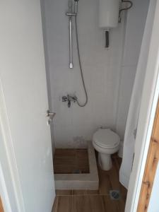 a bathroom with a shower and a toilet at IOKASTI STUDIO 1 in Andros