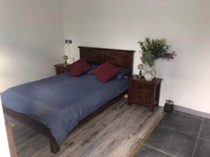 a bedroom with a bed with blue sheets and red pillows at The Blue Garden Flat in Belfast +6 photos