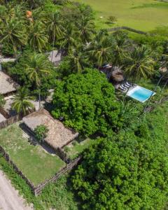 Um jardim em Vila do Junco