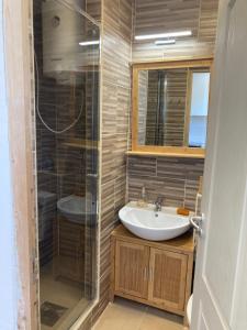 un bagno con lavandino e doccia di Kuckó a parton a Fonyód Altre 10 foto