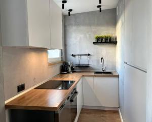 Kuchyň nebo kuchyňský kout v ubytování Studio Brzeźno by Grand Apartments
