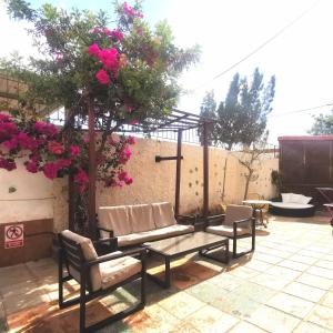 a patio with a bench and a tree with pink flowers at Eden House in Sardina