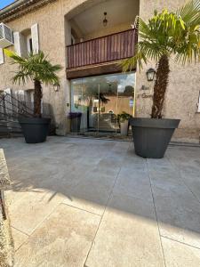patio z dwoma palmami w dużych doniczkach w obiekcie Le Mas de l'Orangerie 3 etoiles w mieście Gréoux-les-Bains