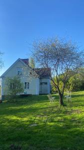 Κήπος έξω από το Villa Matilda