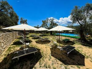 Bazén v ubytování Valle degli Ulivi B&B nebo v jeho okolí