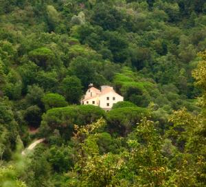 uma casa branca no meio de uma floresta em Le Petit Chateau em Vezzi Portio