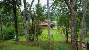 a house in the middle of a forest of trees at Rancho Curica in Campos do Jordão