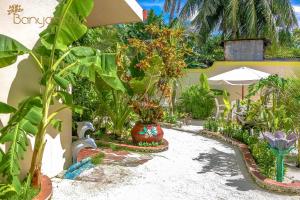Zahrada ubytování Banyan Villa Maldives Dhangethi