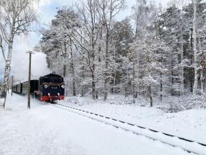 Ein Zug, der die Gleise im Schnee entlangfährt. in der Unterkunft Grüne Düne Whg 21 - Meerblick in Baabe