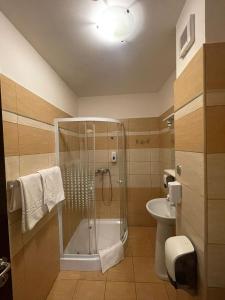 La salle de bains est pourvue d'une douche et d'un lavabo. dans l'établissement Conacul de pe Lac, à Şagu