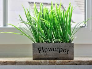 a plant sitting on a table with the word flowerpot at Apartment Born 2 by Interhome in Schieder-Schwalenberg +19 photos