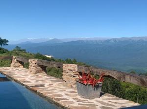 a stone wall with a potted plant on it at Casa Soliá in Lules
