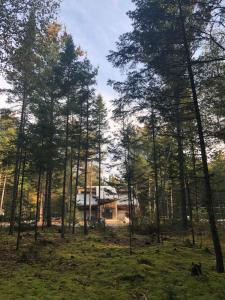 Příroda nedaleko luxury tent