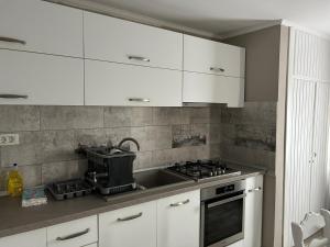 Køkken eller tekøkken på Apartament Orizont