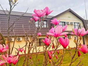 a group of pink flowers in front of a building at Conacul de pe Lac in Şagu