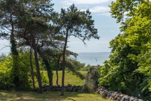 een tuin met bomen en de oceaan op de achtergrond bij Villa Westwind in Thiessow