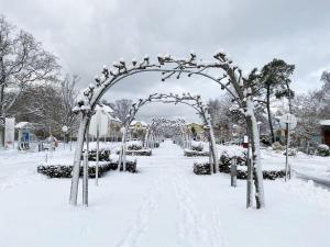 une arche dans un parc recouvert de neige dans l'établissement Haus Meeresblick A 2 05 Baabedos mit Balkon, à Baabe