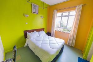 1 dormitorio verde con 1 cama con ventana en Hotel Southern Blue, en Nairobi
