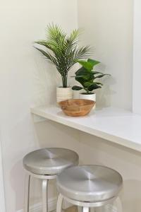 deux tabourets assis sur une étagère blanche avec des plantes dans l'établissement Cozy home with private entrance!, à Wellington