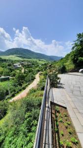 Φωτογραφία από το άλμπουμ του Гандзакар σε Ijevan