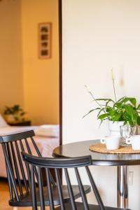 une table avec deux chaises et une plante sur celle-ci dans l'établissement Aiora Suites, à Sivota
