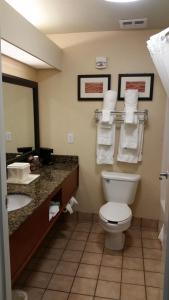Koupelna v ubytování Comfort Inn Fort Collins North