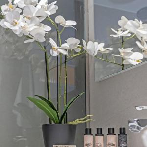 a vase filled with white flowers on a table at Cozy Apartment in Kallithea in Athens