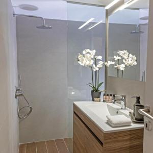 a bathroom with a shower with a sink and a mirror at Cozy Apartment in Kallithea in Athens