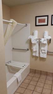 Koupelna v ubytování Comfort Inn Fort Collins North