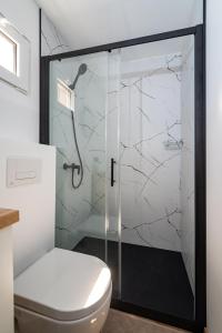 a bathroom with a shower and a toilet at Luna Maris in Drage +29 photos