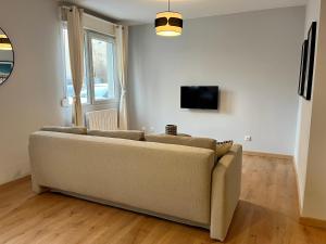 a living room with a couch and a tv at Suite Leeroy in Lyon