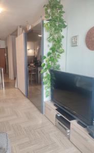 a living room with a flat screen tv and a plant at bel Appartement les pieds dans l'eau in Villeneuve-Loubet