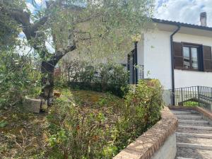 a house with a tree and stairs in front of it at Casa Isa in Narni Scalo