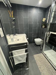 een badkamer met een wastafel, een douche en een toilet bij Cannes, charmant 3 pièces proches plages, tout confort au calme in Cannes