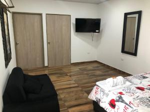Televiisor ja/või meelelahutuskeskus majutusasutuses Hotel Real del Valle