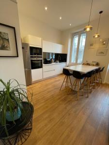 Kuchyňa alebo kuchynka v ubytovaní Appartement Design sur Vauban - Clim et Wifi