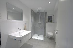 a bathroom with a sink and a shower and a toilet at Moderner Altstadt-Diamant in Buchen