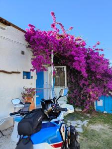 una moto azul estacionada frente a un edificio con flores púrpuras en La collina sui trabocchi en Ortona