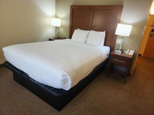 Un pat sau paturi într-o cameră la Comfort Inn & Suites Madison - Airport