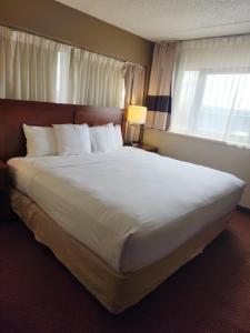 un grande letto bianco in una camera d'albergo con finestra di Comfort Inn & Suites Madison - Airport a Madison